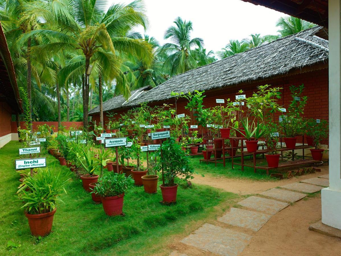 The Nattika Beach Resort Thrissur Ngoại thất bức ảnh